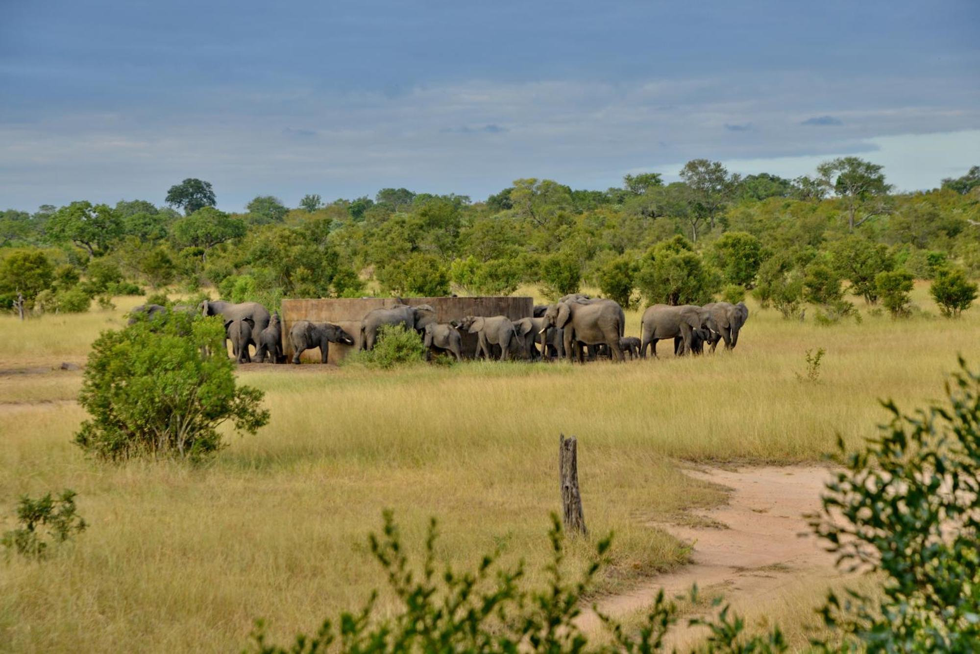 ホテル Rhino Walking Safaris スククザ エクステリア 写真