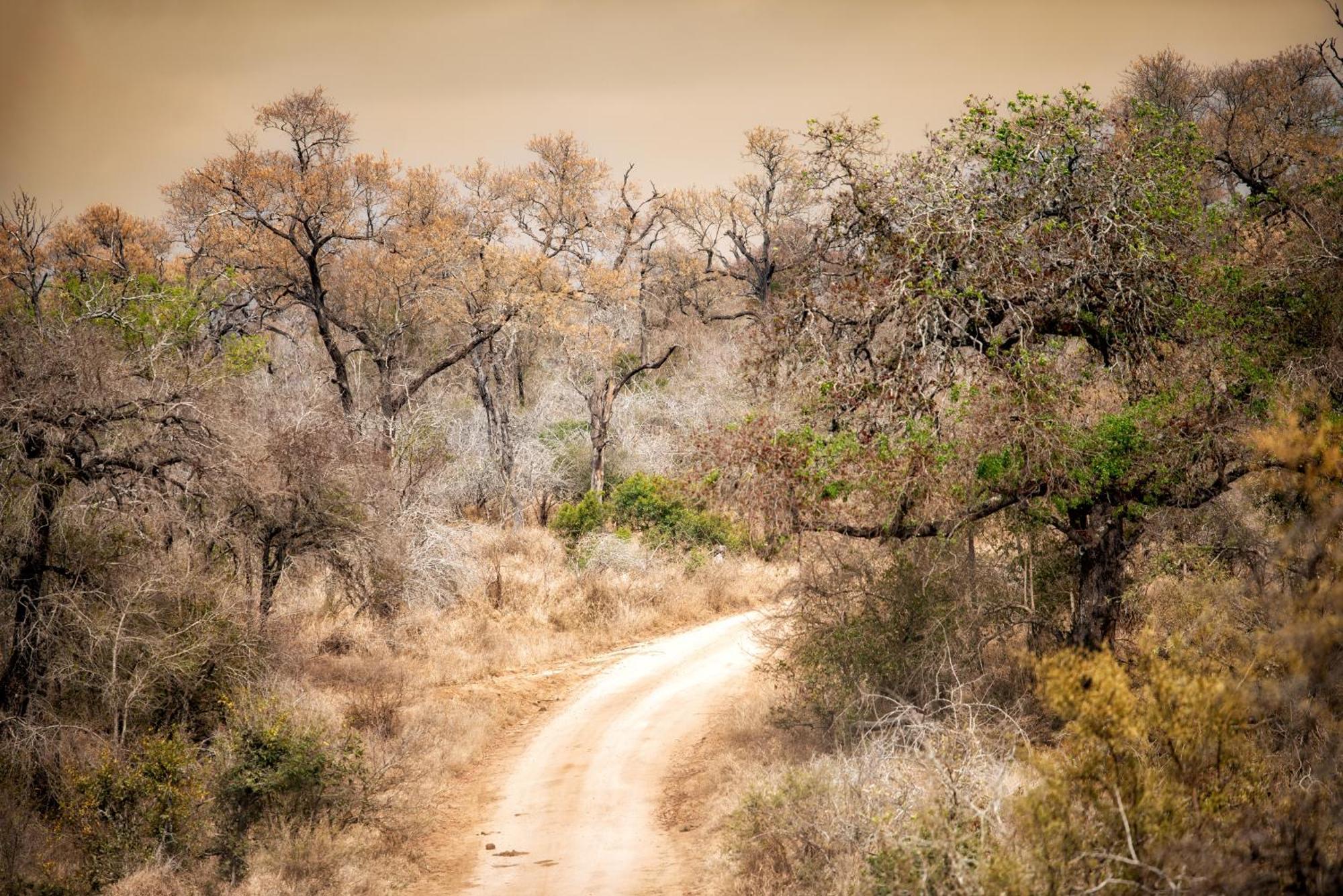 ホテル Rhino Walking Safaris スククザ エクステリア 写真